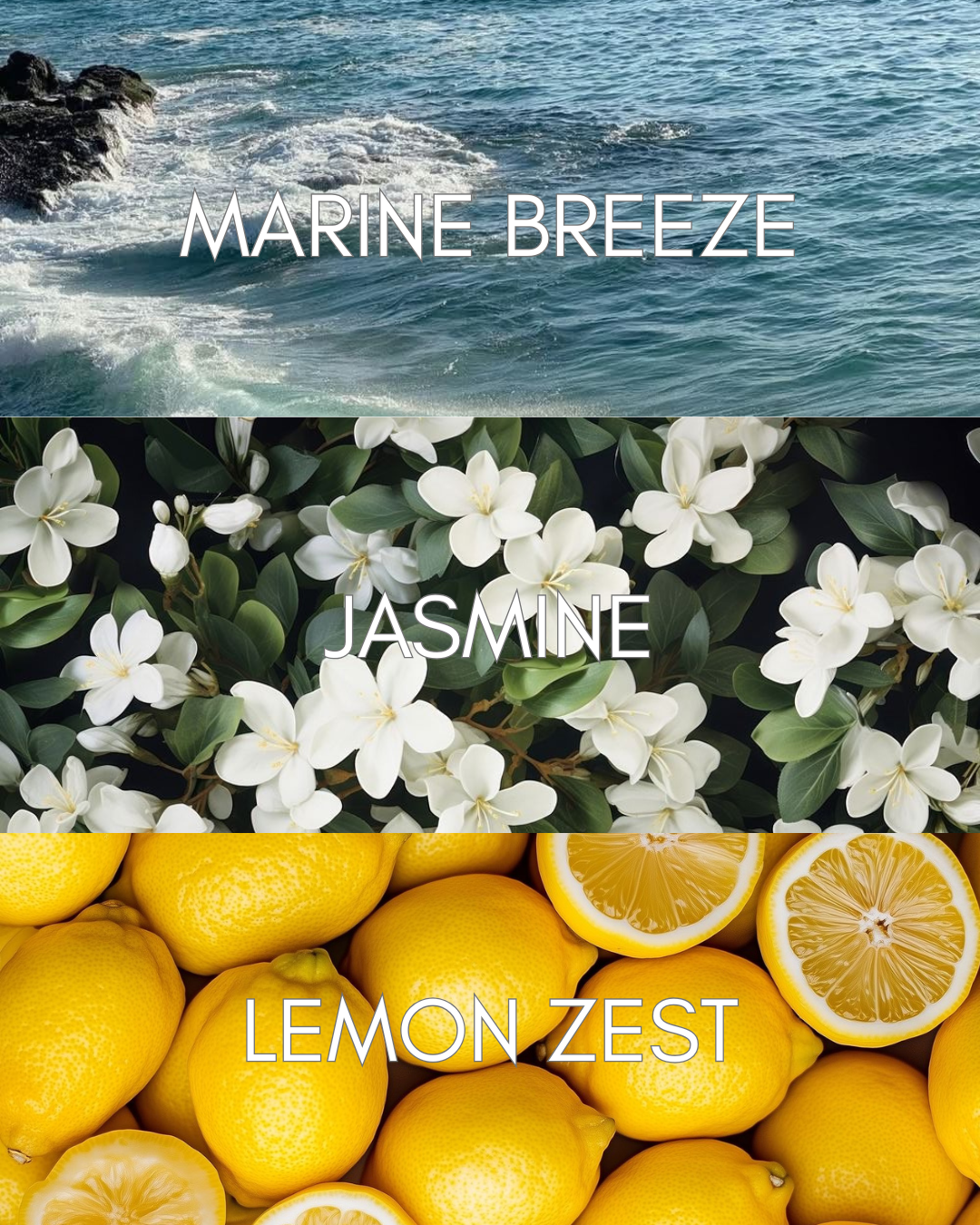AQUA MUSK