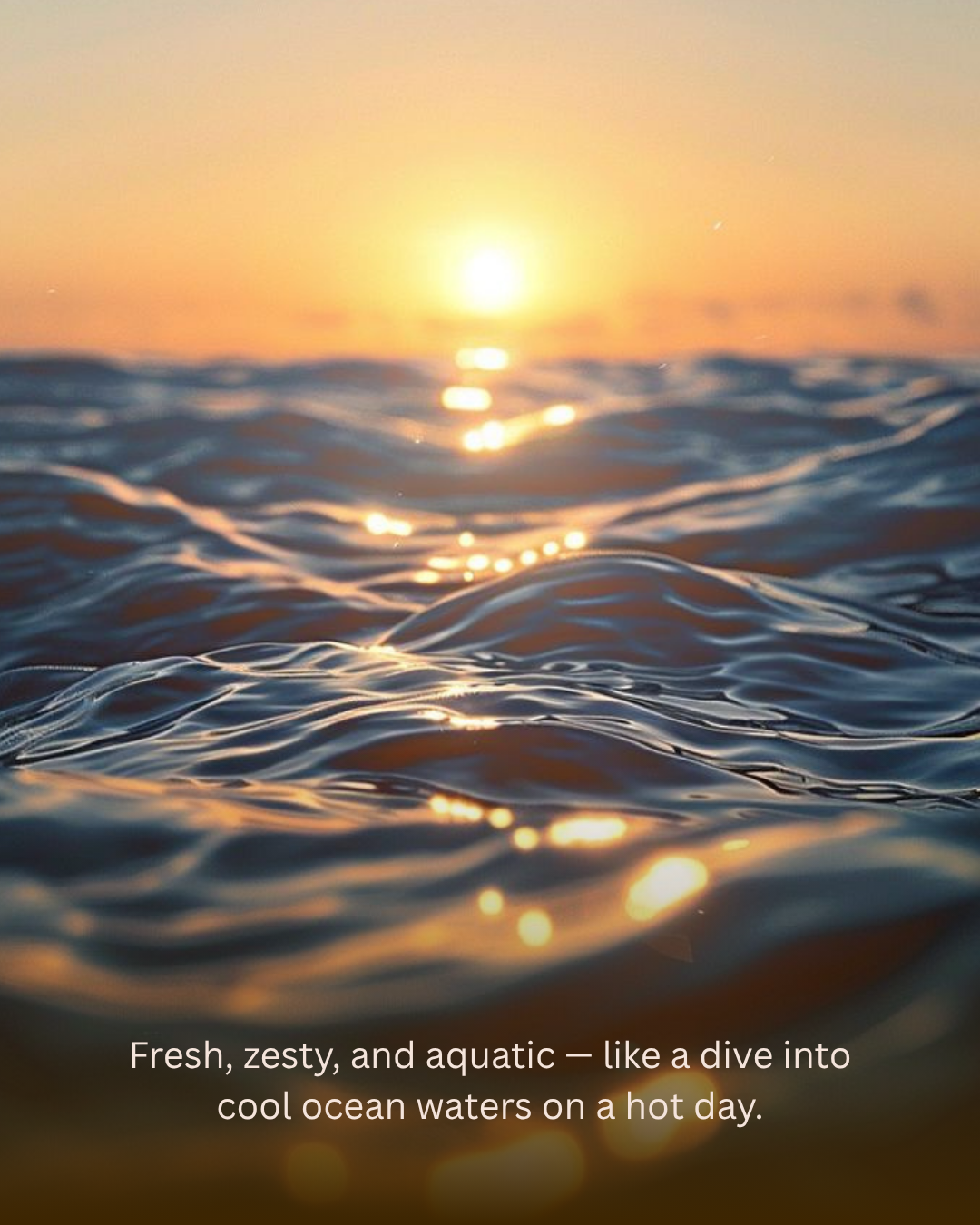 OCEAN RUSH